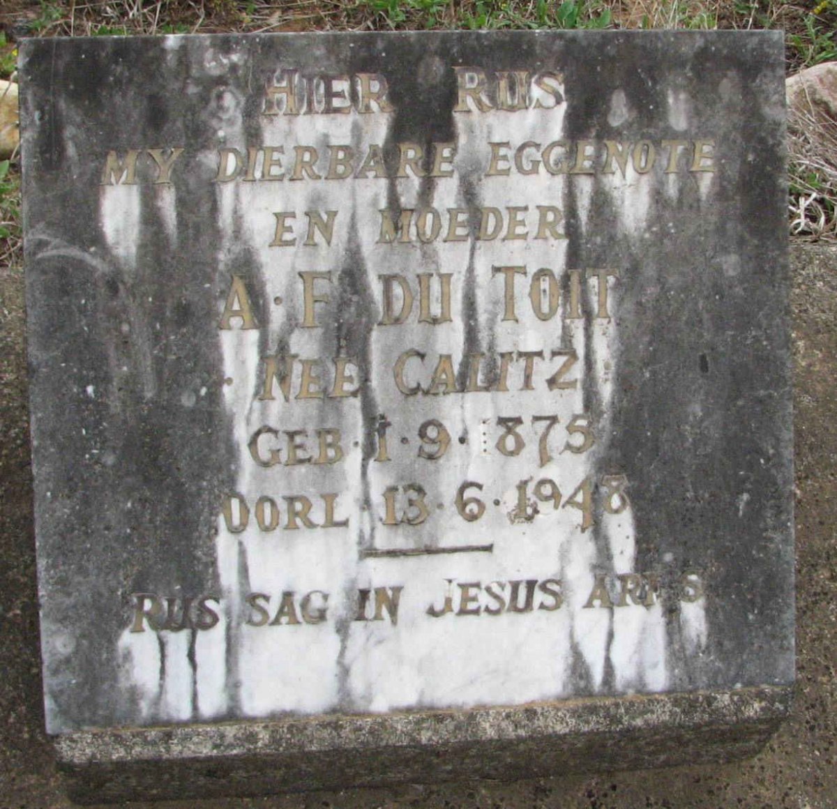 TOIT A.F., du 1875-1948