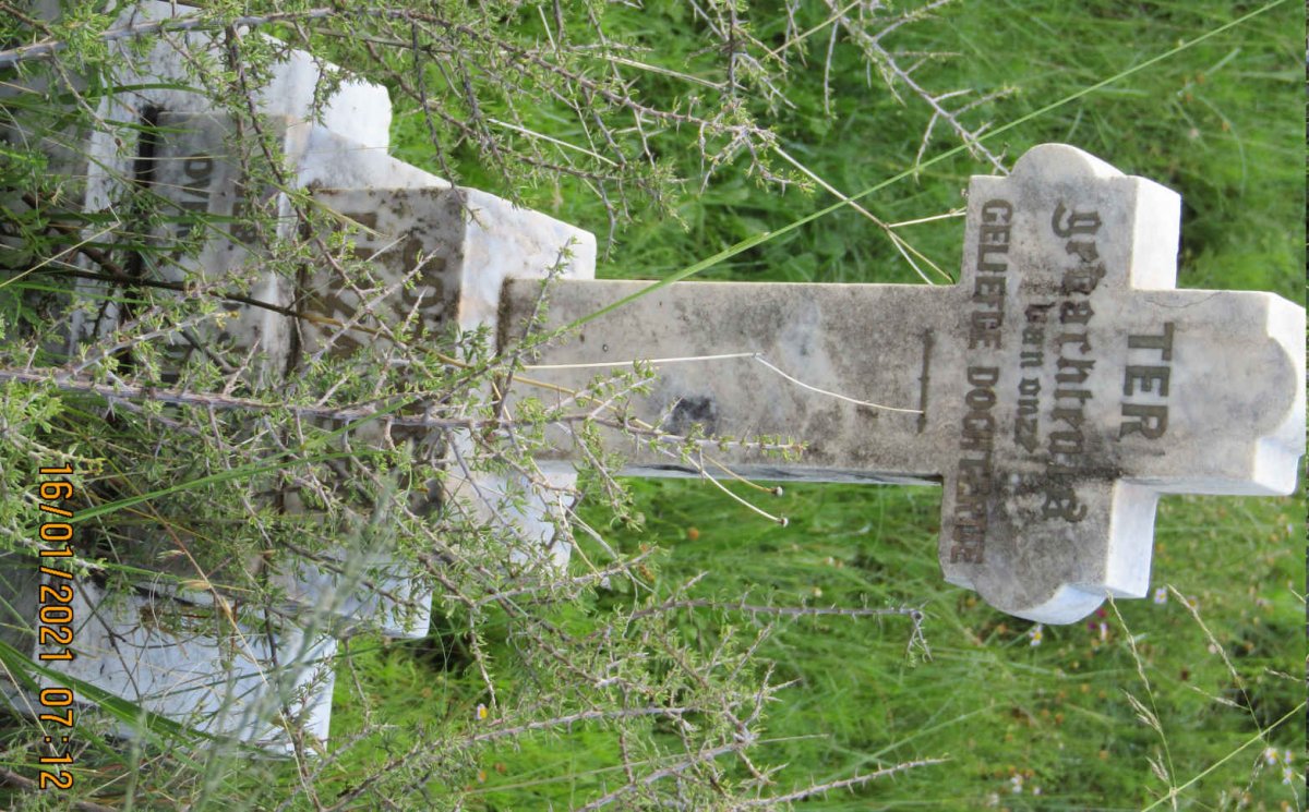 ? Johanna Elizabeth