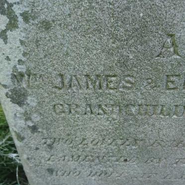 NELSON William -1862 :: WOODS William James :: WOODS Elizabeth Ann
