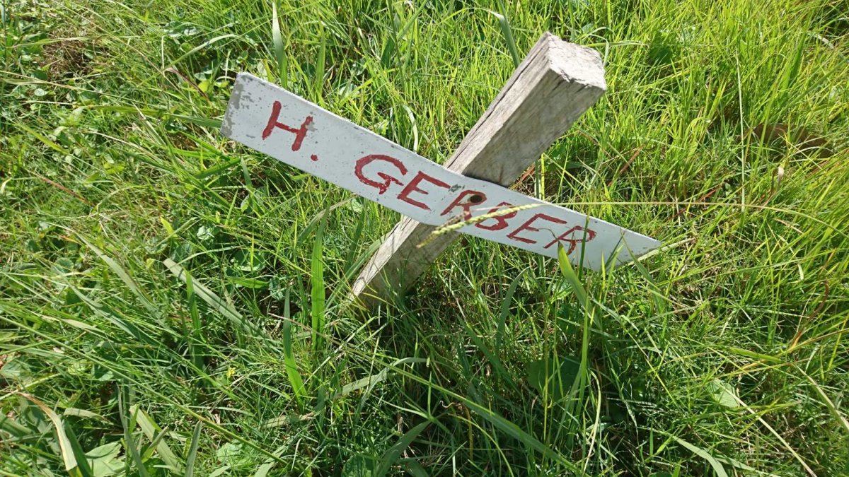 GERBER H. 