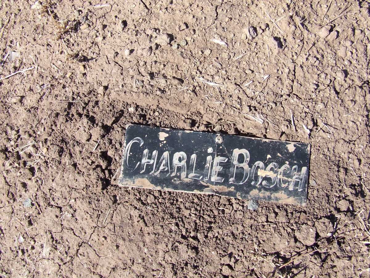 BOSCH Charlie