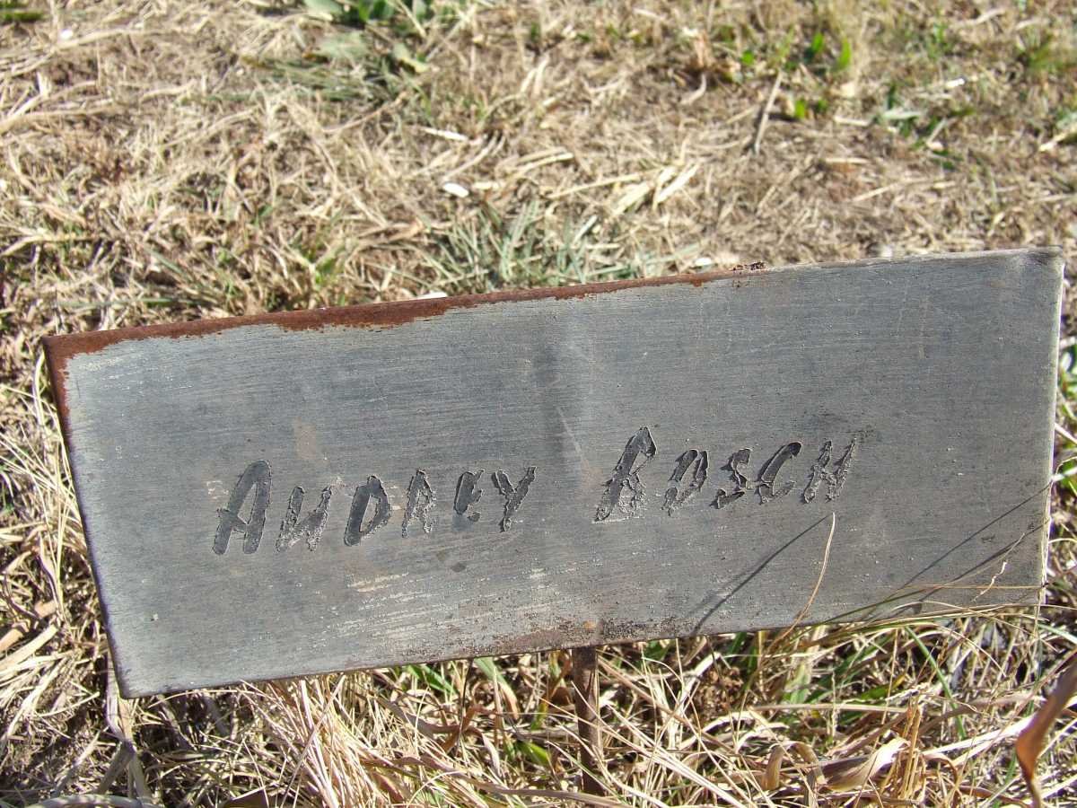 BOSCH Audrey