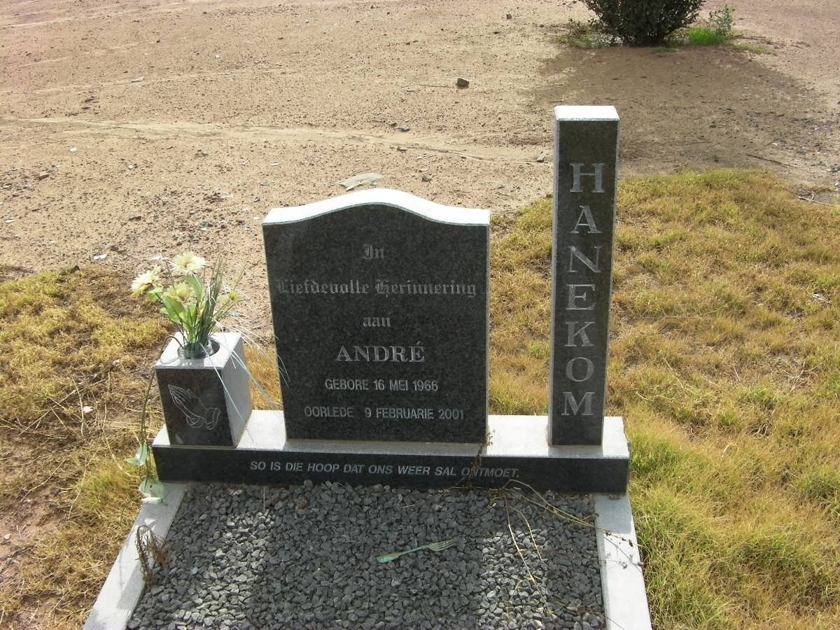 HANEKOM André 1966-2001