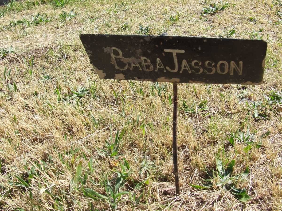 JASSON Baba