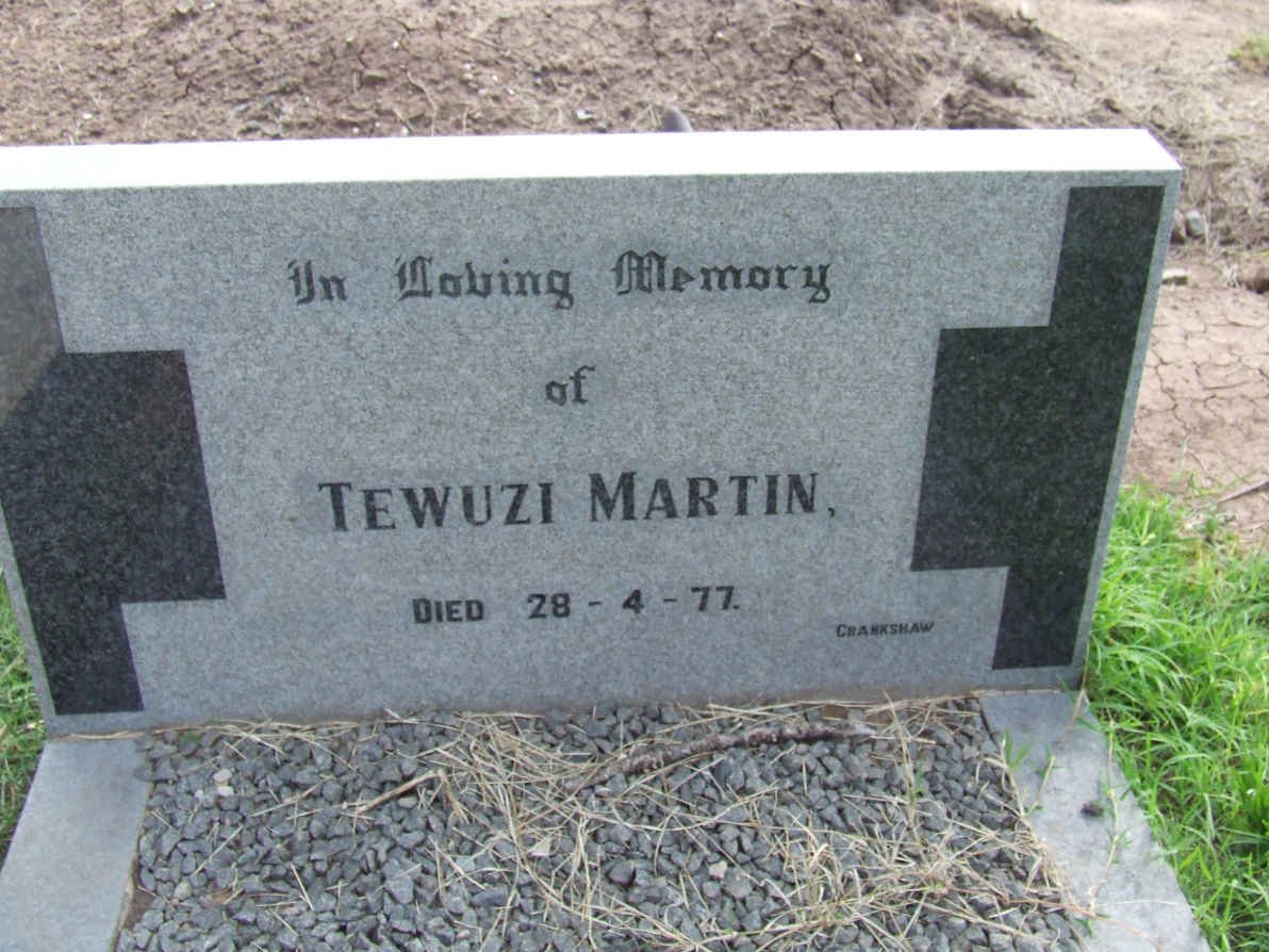 MARTIN Tewuzi -1977