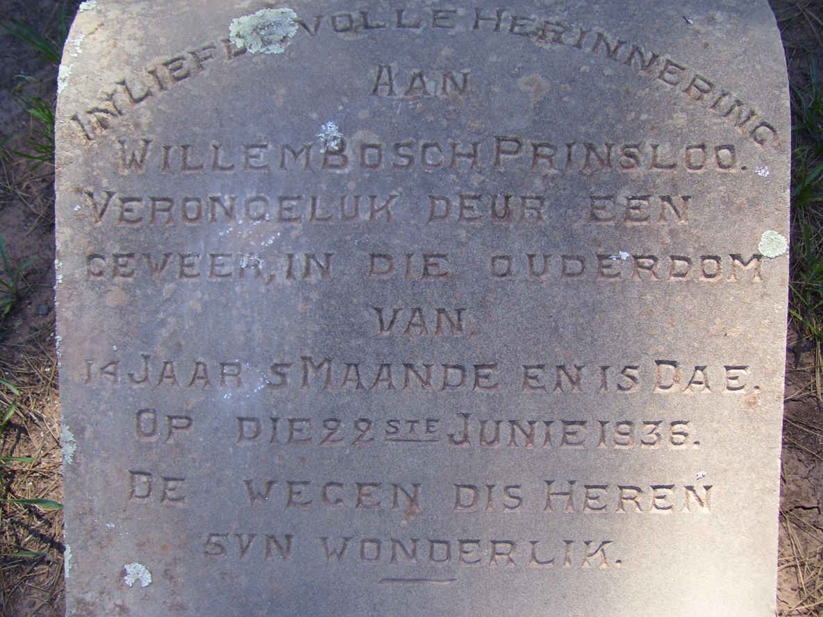 PRINSLOO Willem Bosch -1935