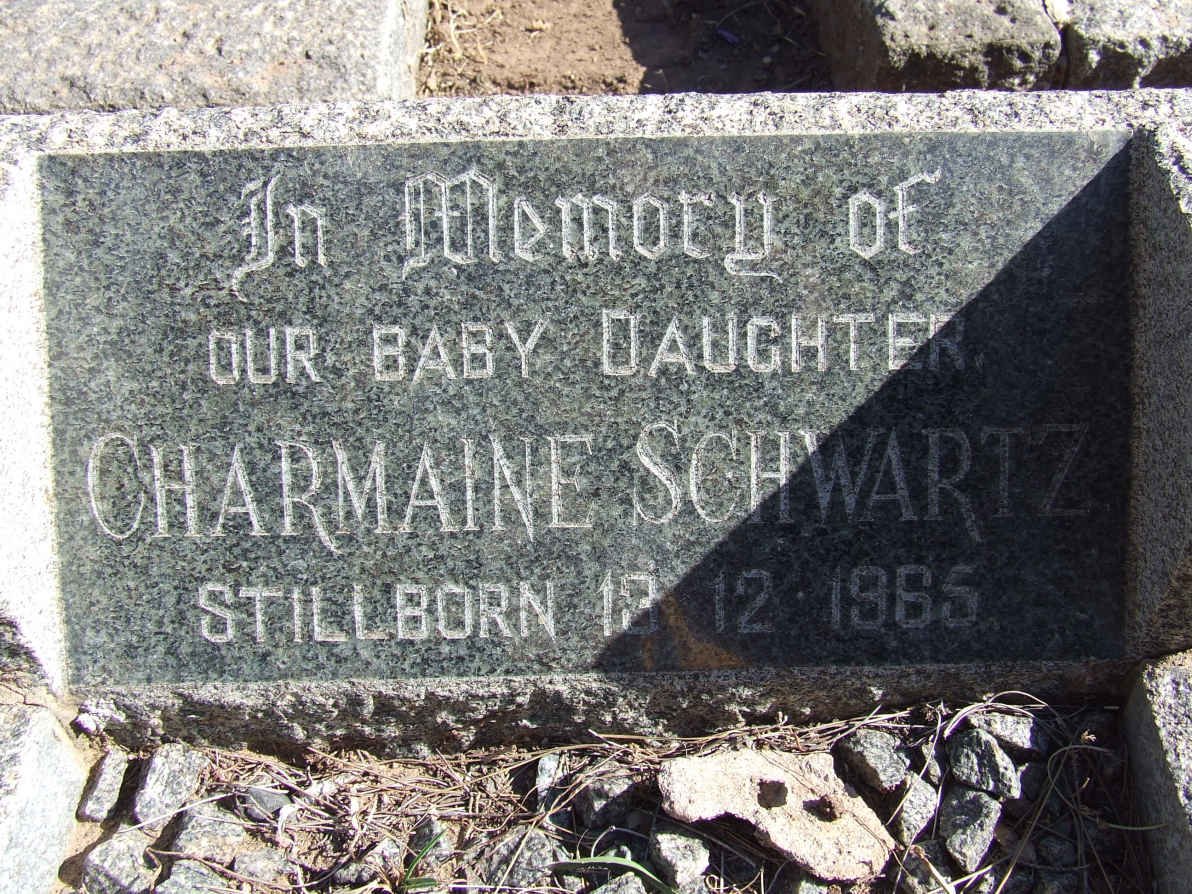 SCHWARTZ Charmaine 1965-1965