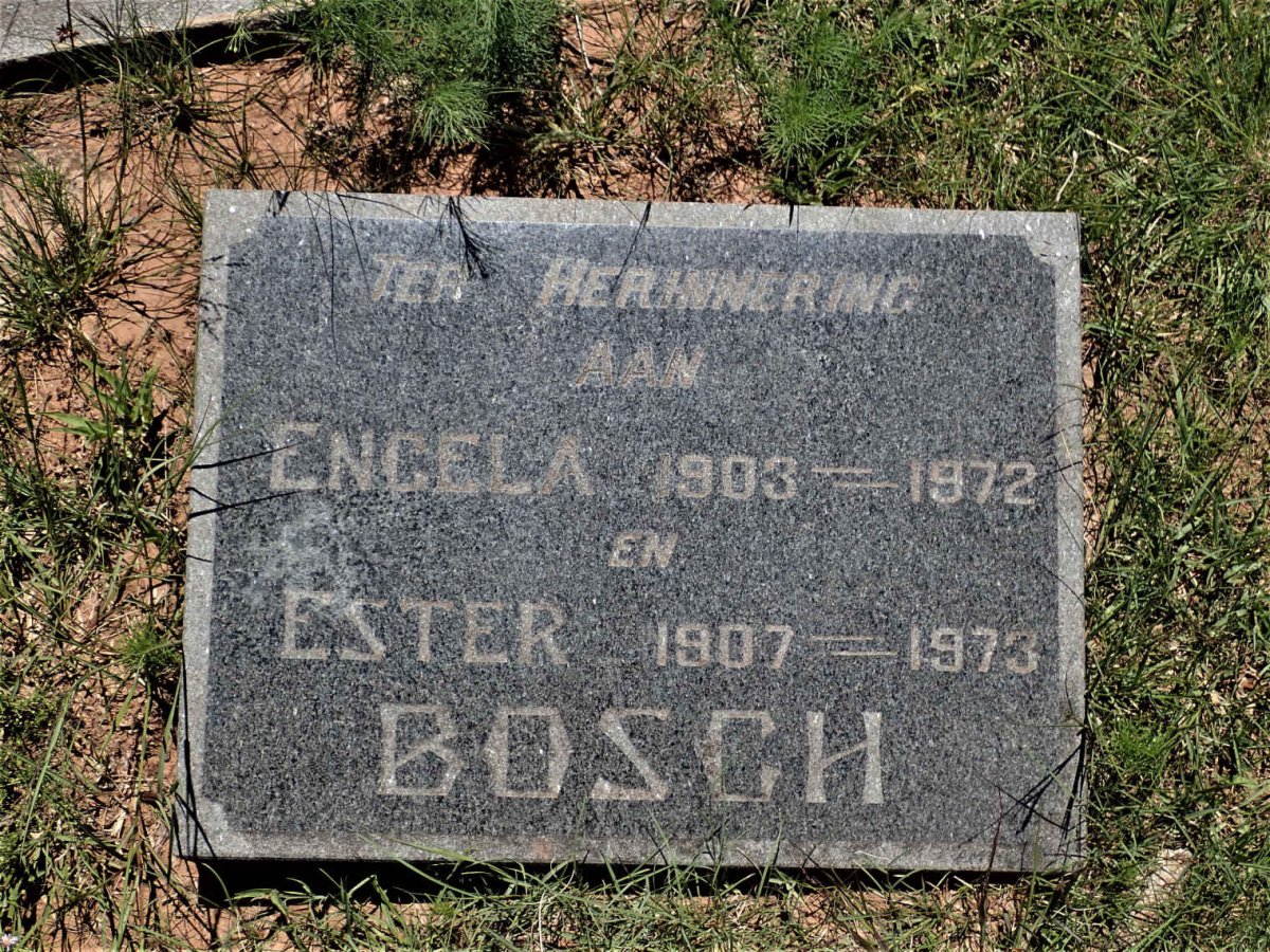 BOSCH Engela 1903-1972 :: BOSCH Ester 1907-1973