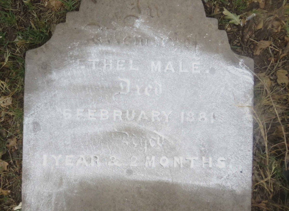MALE Ethel -1881
