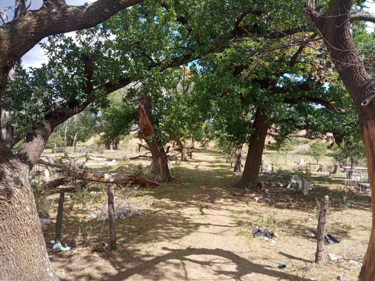 2. Overview